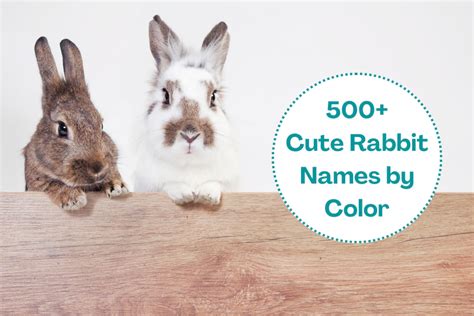 Bunny Names Bunny Names, Female Rabbit Names, Names, 55% OFF