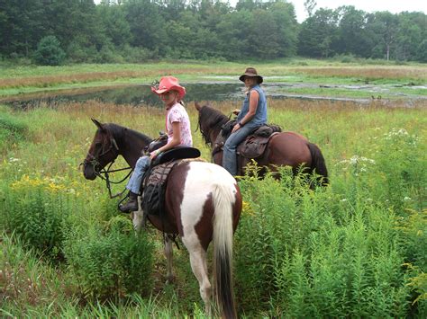 Giddyup! Visit Tioga Trail Rides and take a western-style ride through ...