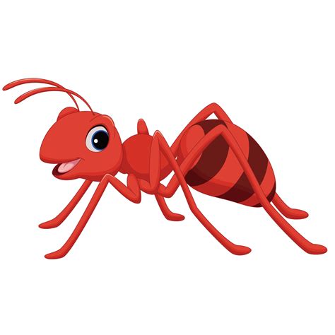 Ant Cartoon Clip art - Red Ants png download - 1276*1276 - Free ...