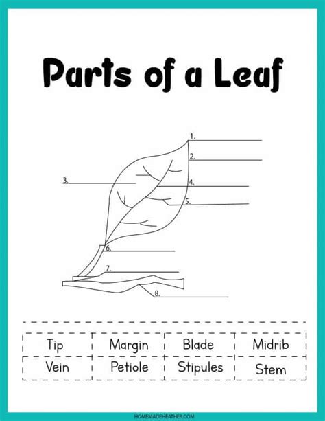 Fall Leaf Printable Work Sheets » Homemade Heather - Worksheets Library