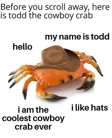 cowboy crab : r/memes