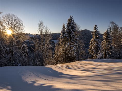 Wallpaper Switzerland, Hulftegg, nature winter landscape, morning, sun ...