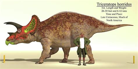 Size Reference Chart Of A Triceratops Photograph by Arthur Dorety ...