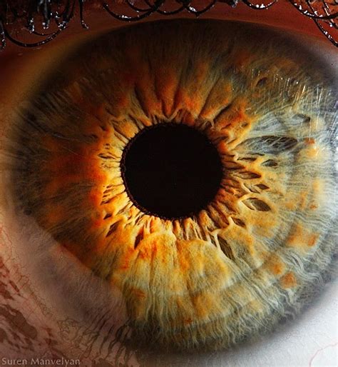 Breathtaking Close-Ups of the Human Eye | DeMilked