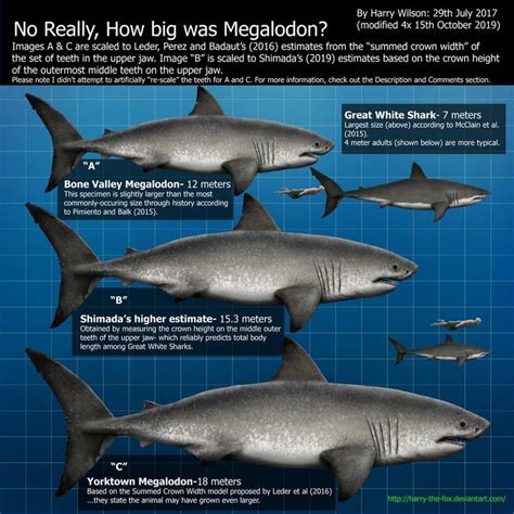 Megalodon Vs Predator X Size Comparison / Kaiju 1 predator X by ...