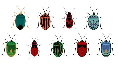 Set of beetles, insects. Bright bugs of various colors. Vector graphics ...