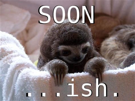 sloth soon meme - Dump A Day