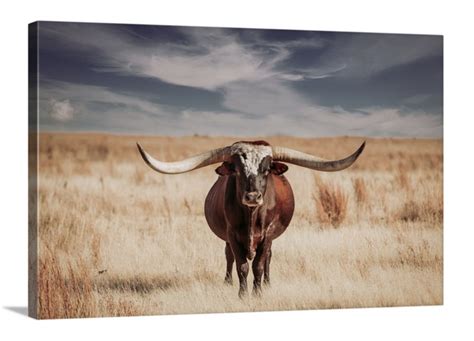 Longhorn bull print or canvas print. Western home decor | Etsy | Large ...