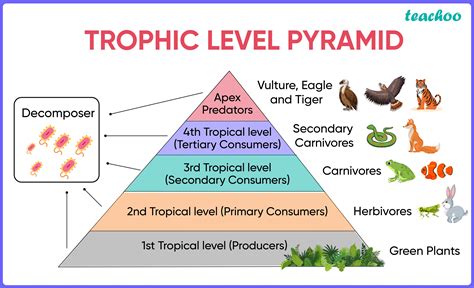 What Are The Different Levels Of Architecture - Design Talk