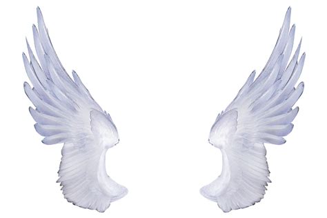 Angel Wings Wings Png Angel Wings Png Wings Drawing | Images and Photos ...