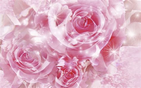 Pretty Pink Roses Wallpaper - Pink (Color) Photo (34590746) - Fanpop