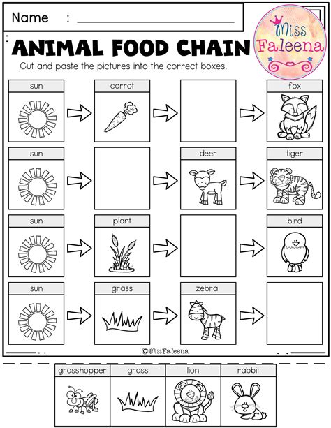 Food Chain Worksheet 1st Grade