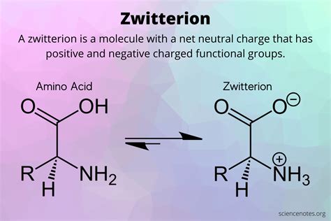 Zwitterion Definition and Examples