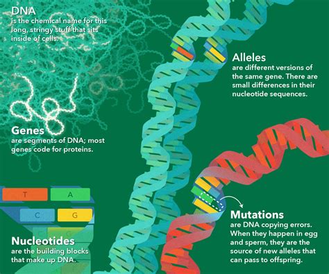 What is Mutation?