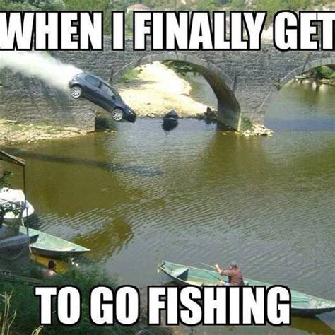 24 Hilarious Fish Memes Proving You Can Be Funny Without Even Talking ...