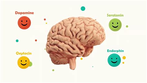 Total 99+ imagem happy hormones serotonin - br.thptnganamst.edu.vn