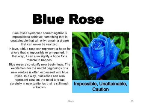 meaning of blue rose