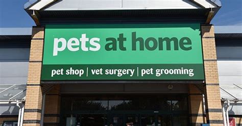 Pets at Home plans CLOSURE of vet practices as profits CRASH by 80% ...