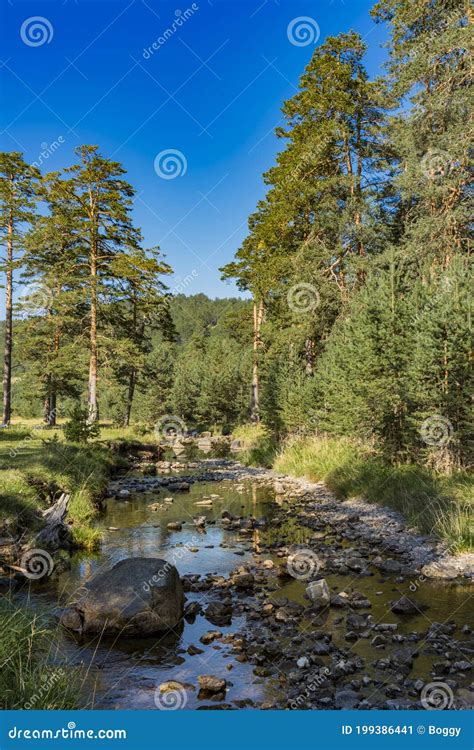 Crni Rzav River on Zlatibor Mountain in Serbia Stock Image - Image of ...