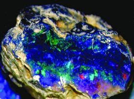 Australian Black Opal: Black Opal