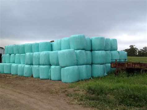 silage bales | Hay & Fodder - Silage For Sale