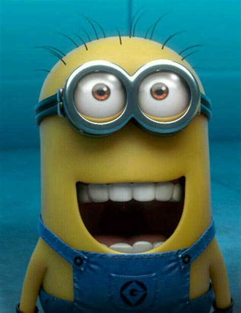 Great face | Minions, Minions funny, Funny minion pictures