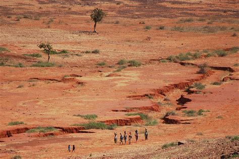 Sahel Drought: Putting Malnutrition in the News | New Security Beat