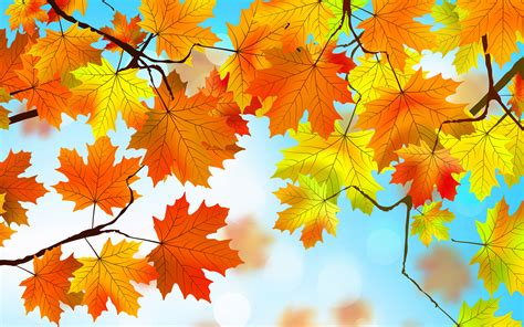 2880x1800 Autumn Leaves HD Macbook Pro Retina HD 4k Wallpapers, Images ...