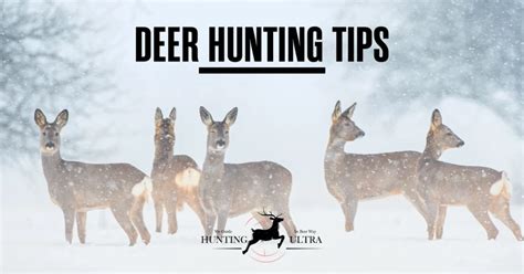 Deer Hunting Tips: 100% Successful