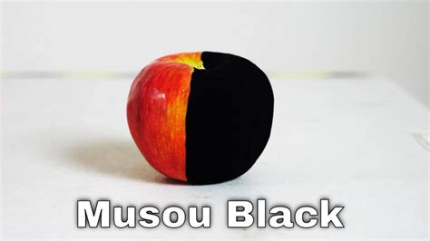 HammerHouse | MUSOU BLACK PAINT by Koyo Orient at $44.90 SGD SGD