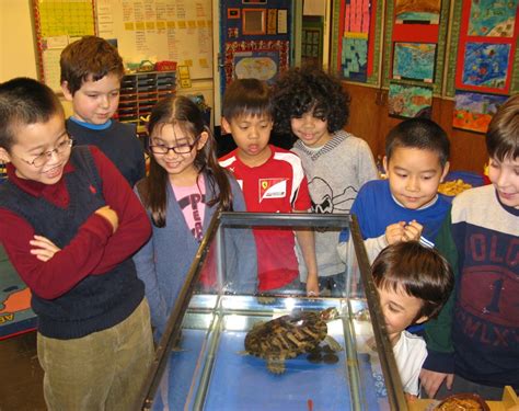 Students will get to observe live animals in their makeshift habitat in ...