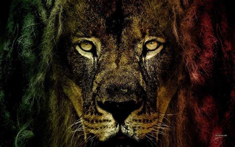 Rasta Lion Wallpapers HD - Wallpaper Cave