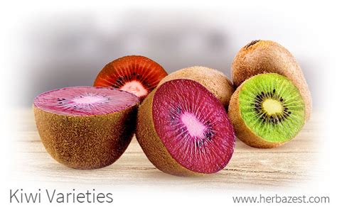 Kiwi Varieties | HerbaZest