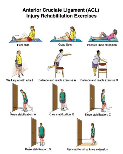 Acl Injury Exercises To Do Before Treatment – Online degrees