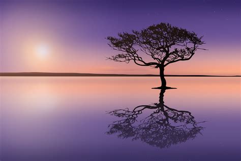 Sunset, Tree, Lake, Calm, Relaxing by Artapixel | Free Photos and Images