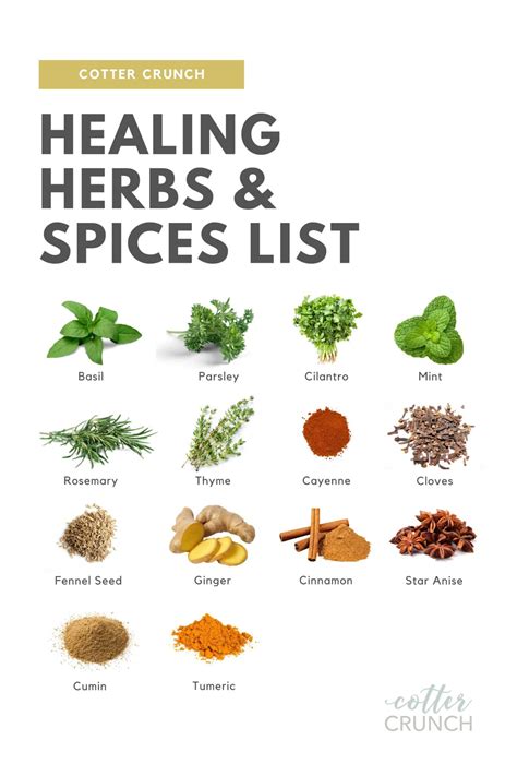 Healing Herbs and Spices List + Guide | LaptrinhX / News