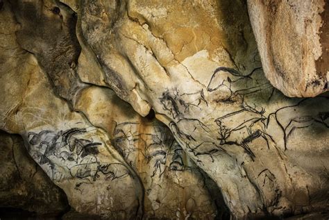 Wall Painting With Horses Chauvet Cave at PaintingValley.com | Explore ...