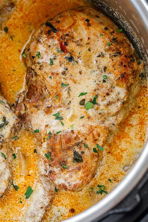 Instant Pot Pork Chops in Creamy Mushroom Sauce – Instant Pot Pork ...