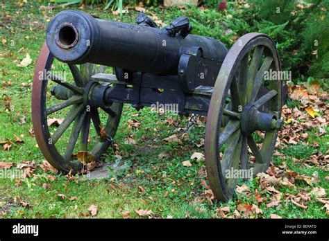 Cannon Weapon History