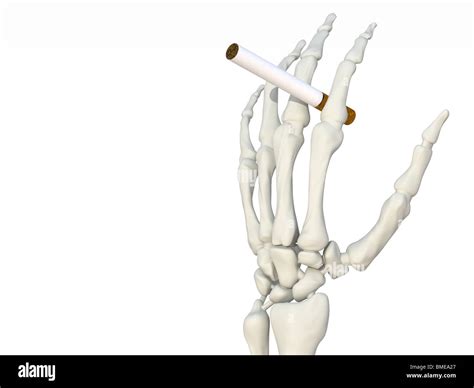 Skeleton smoking cigarette Cut Out Stock Images & Pictures - Alamy