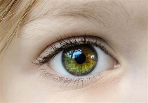 Free photo: Closeup Photo of Human Eye - Close-up, Person, Woman - Free ...