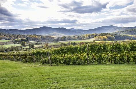 10 Best Virginia Wineries: A Day Trip from Washington D.C.