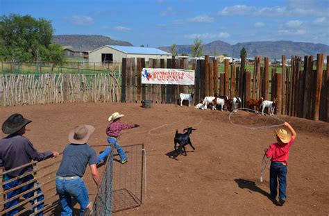 Goat Roping | Alpine, Texas