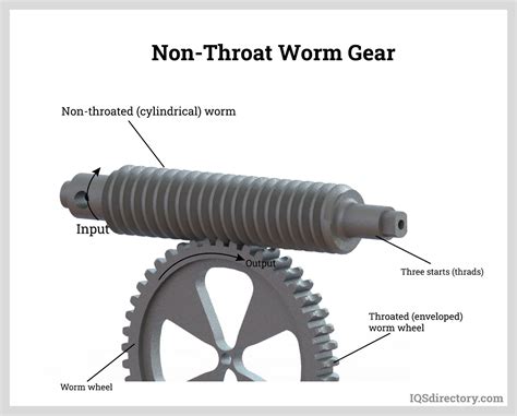 Worm Gear: What Is It? How Is it Made? Types Of, Uses