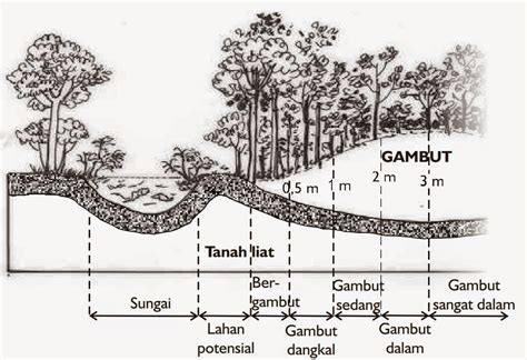 Sifat Sifat Tanah Gambut - Nirwana Nusantara