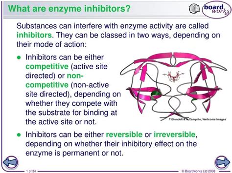 PPT - What are enzyme inhibitors? PowerPoint Presentation - ID:2027798