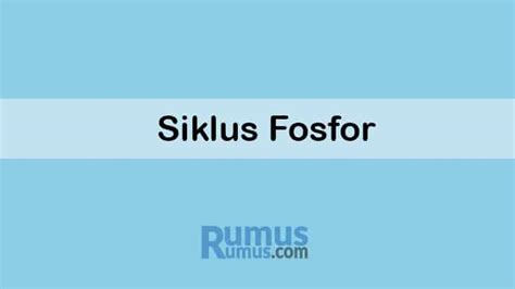 Siklus Fosfor - Pengertian, Peran, Tahapan, Dampak Bagi Manusia