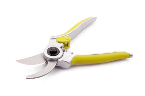 green garden secateurs isolated on a white background 11998178 Stock ...