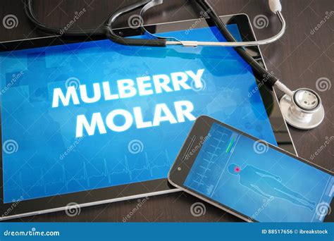 Mulberry Molar (cutaneous Disease) Diagnosis Medical Concept on Stock ...