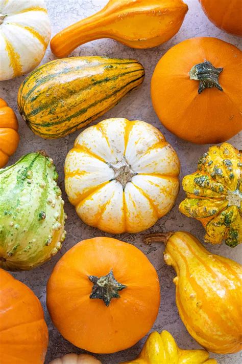 Types of Edible Pumpkins - Jessica Gavin